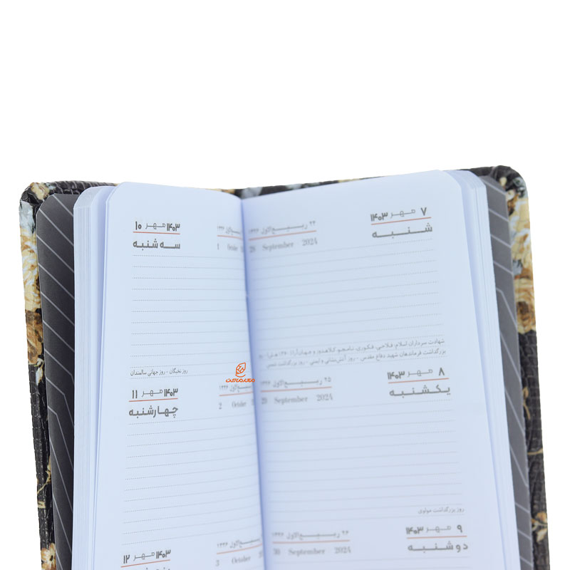 سالنامه (سررسید) پالتویی 1403 فانتزی کد 2 عرش (1)