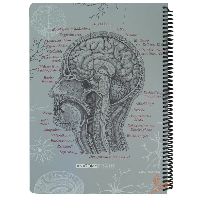 دفتر 100 برگ A4 طوسی طرح آناتومی مغز دات نوت 1 (1)