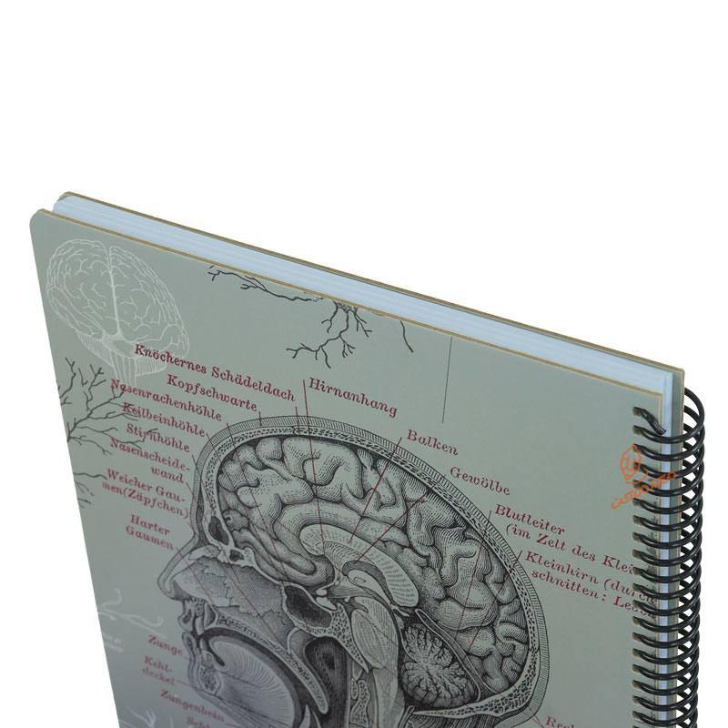 دفتر 100 برگ A4 طوسی طرح آناتومی مغز دات نوت 1 (3)