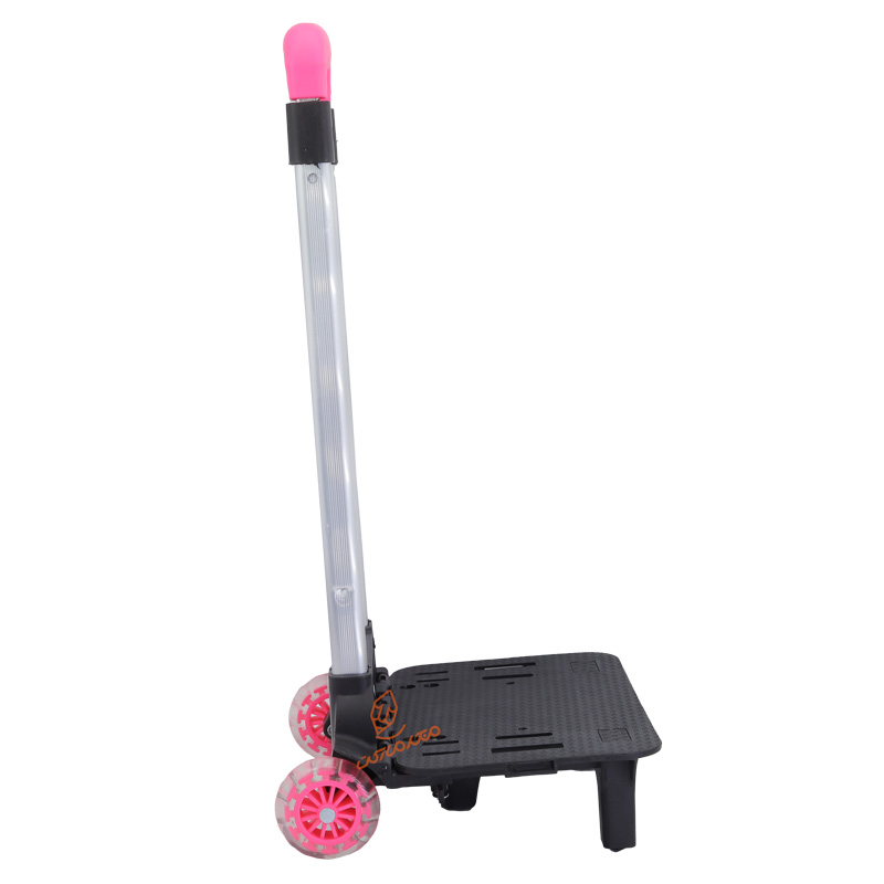 ترولی (چرخ کوله پشتی) (4)