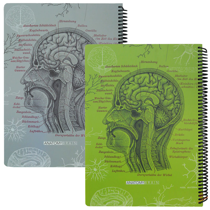 دفتر 100 برگ A4 طرح آناتومی مغز دات نوت