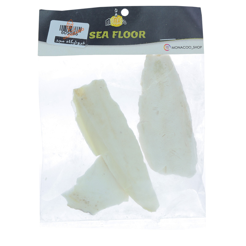 کف دریا موناکو