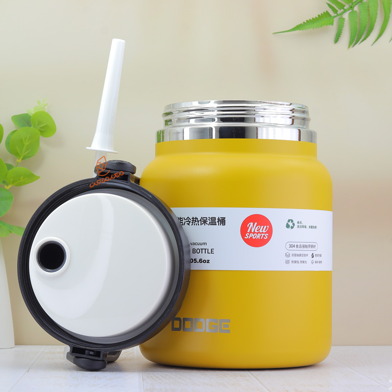 فلاسک 3 لیتر مدل فانوسی کد 22667 دوج DODGE (1).jpg