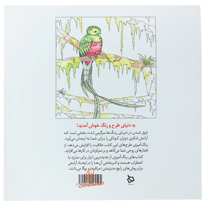 کتاب رنگ آمیزی پیشرفته ( پرندگان زیبا ) (3).jpg