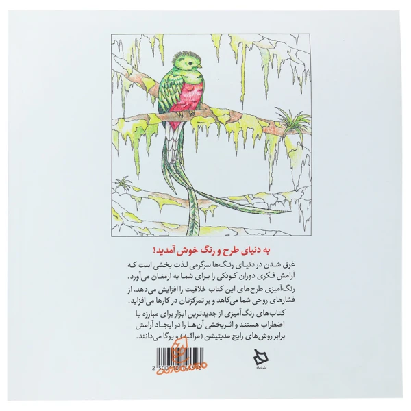 کتاب رنگ آمیزی پیشرفته ( پرندگان زیبا ) (3).jpg
