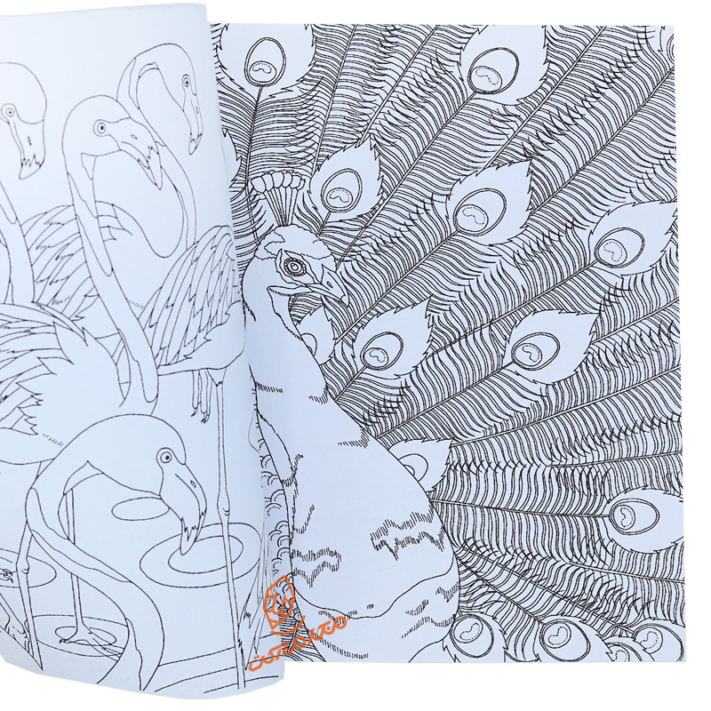 کتاب رنگ آمیزی پیشرفته ( پرندگان زیبا ) (1).jpg