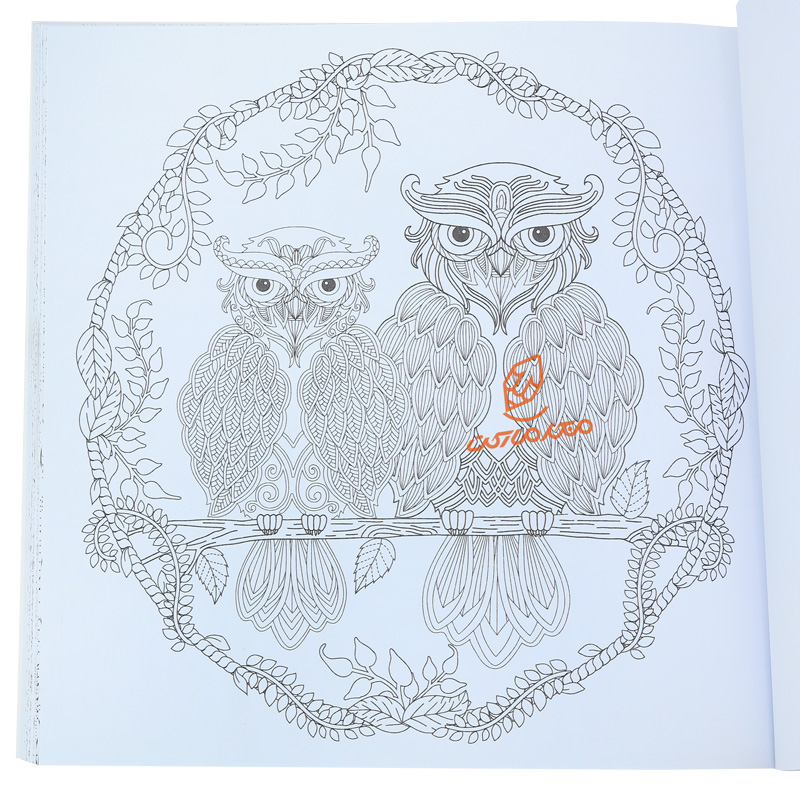 کتاب رنگ آمیزی دنیای هنر خلاقیت 5 ( تصاویر سحر آمیز ) (2).jpg