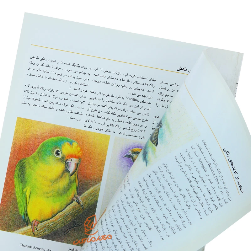 کتاب آموزش طراحی رنگی پرندگان ( مدادرنگی ) (1).jpg