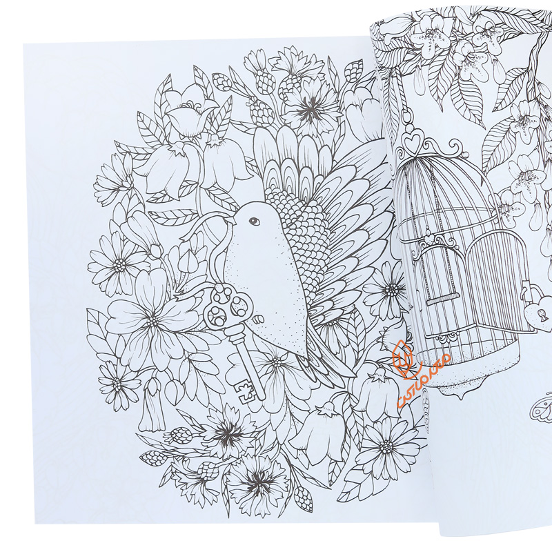 کتاب رنگ آمیزی کوچه باغ (3).jpg