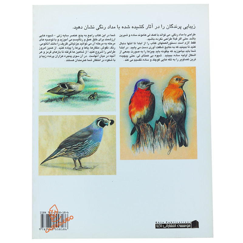 کتاب آموزش طراحی رنگی پرندگان ( مدادرنگی ) (3).jpg