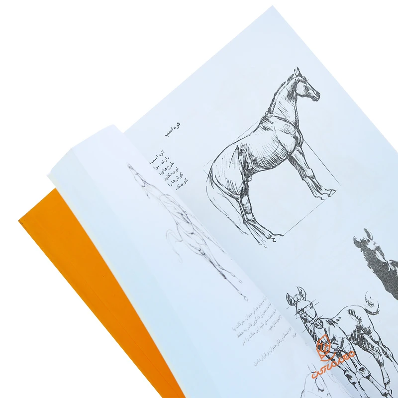  کتاب هنر طراحی از حیوانات (3).jpg