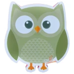 سبز تخته پاک کن وایت برد طرح جغد کد LF-507.jpg