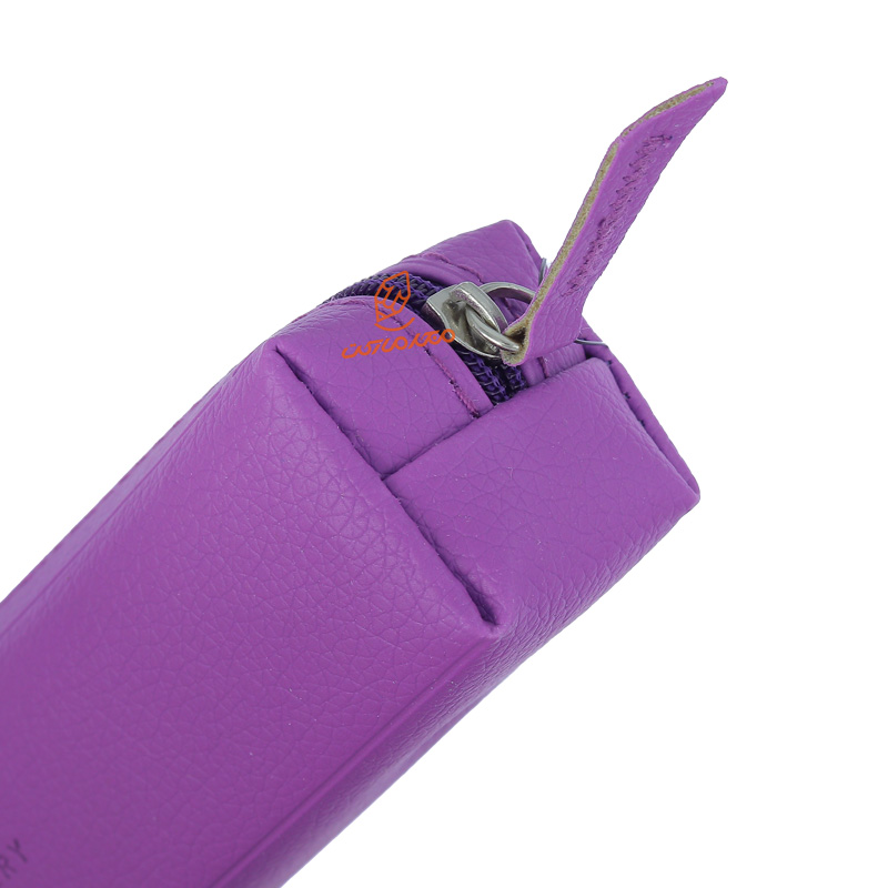 جامدادی دانشجویی پاپکو zpc-33 (12).jpg