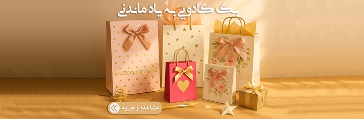 بگ کاغذی