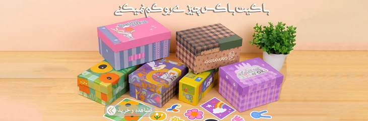 نظم دهنده