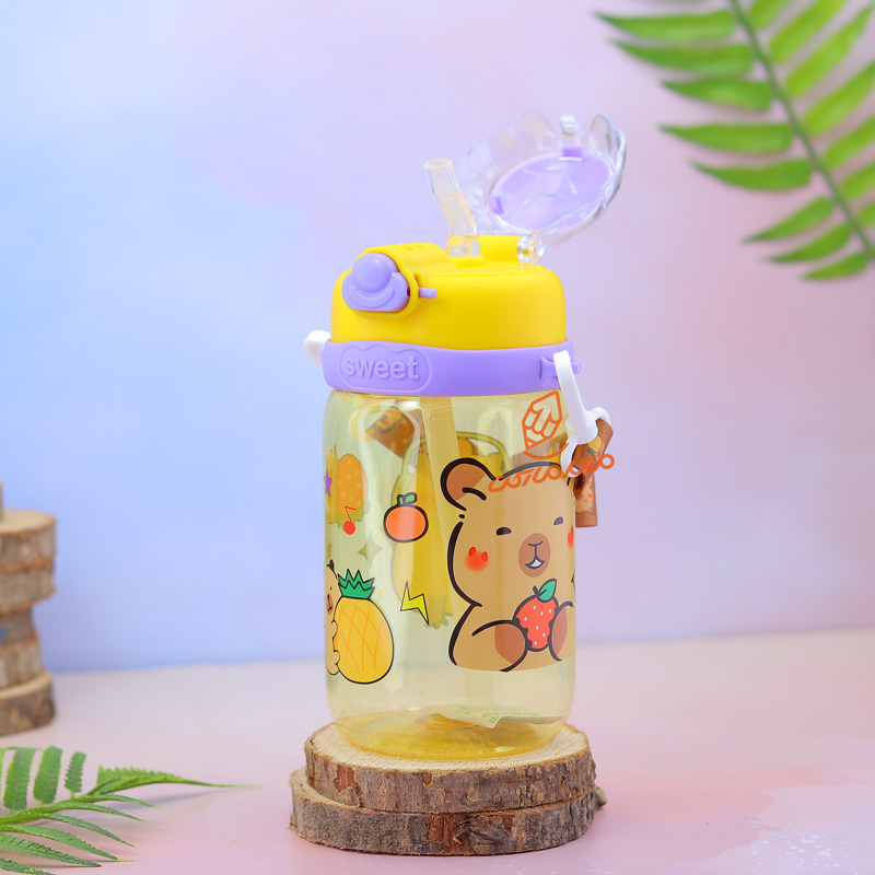 قمقمه فانتزی شفاف 470 میل 1355 کایت (6).jpg