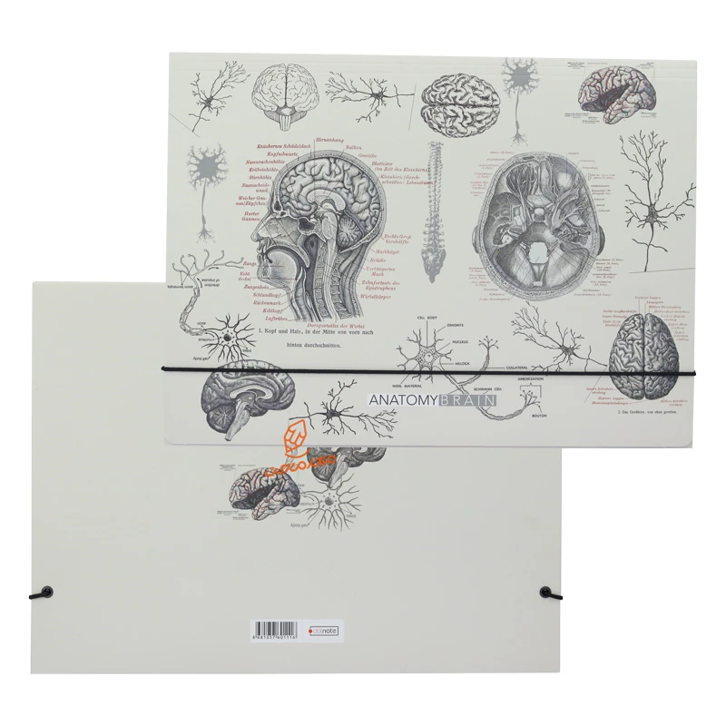 فولدر مقوایی طرح  Science دات نوت DOT NOTE (10).jpg