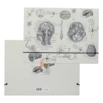 فولدر مقوایی طرح  Science دات نوت DOT NOTE (10).jpg
