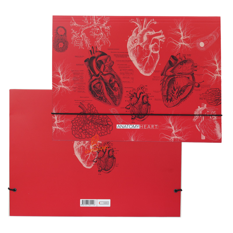 فولدر مقوایی طرح  Science دات نوت DOT NOTE (6).jpg