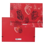 فولدر مقوایی طرح  Science دات نوت DOT NOTE (6).jpg