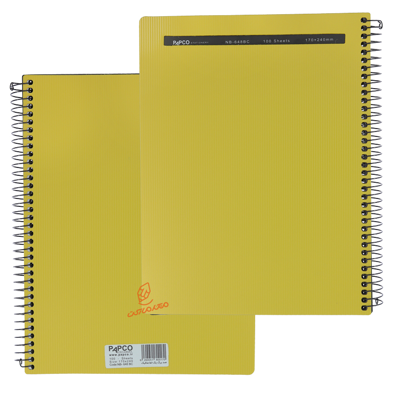 دفتر 100 برگ متالیک NB-648 پاپکو PAPCO (9).jpg
