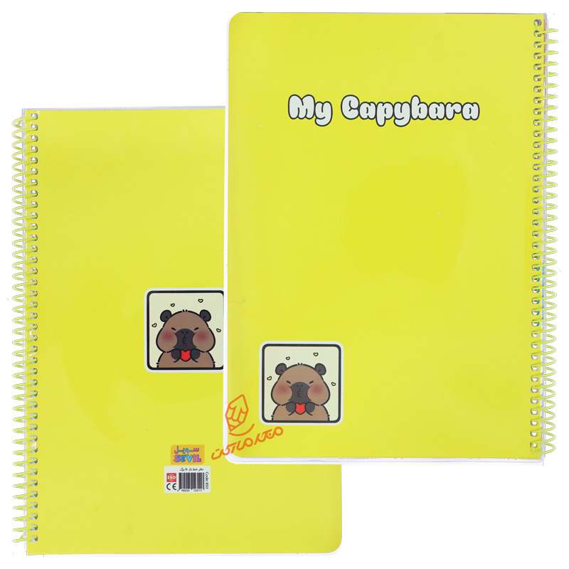 دفتر نقاشی 50 برگ رنگی ساده کد 850 سویل SEVIL (4).jpg