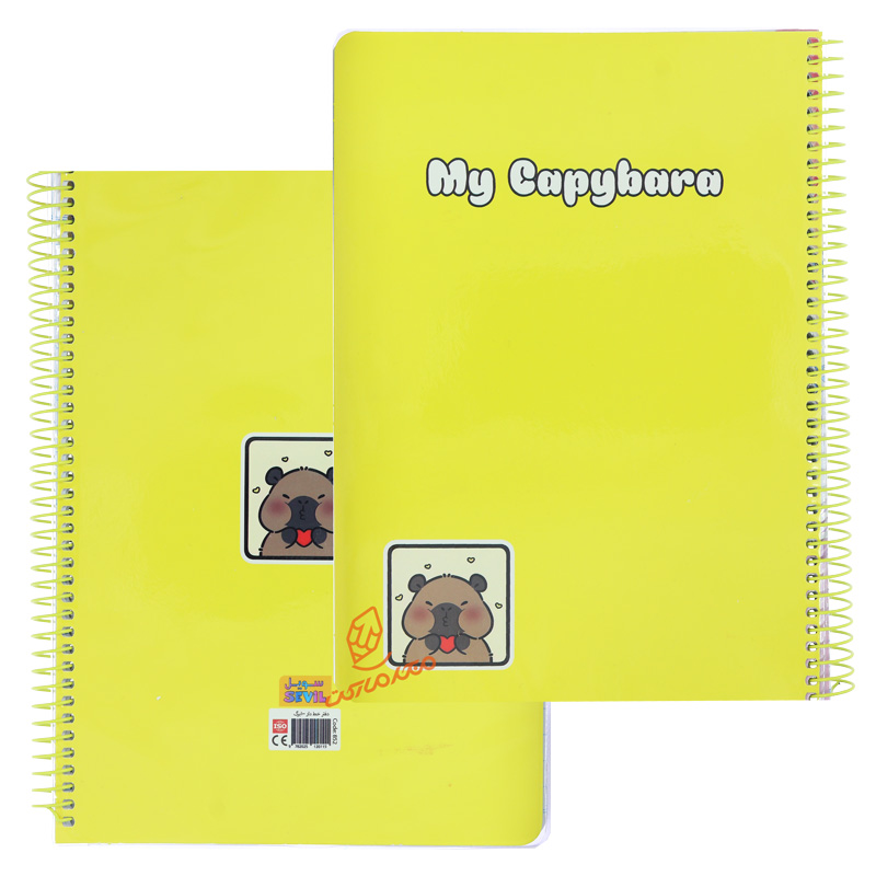 دفتر 100 برگ رنگی ساده کد 852 سویل SEVIL (2).jpg