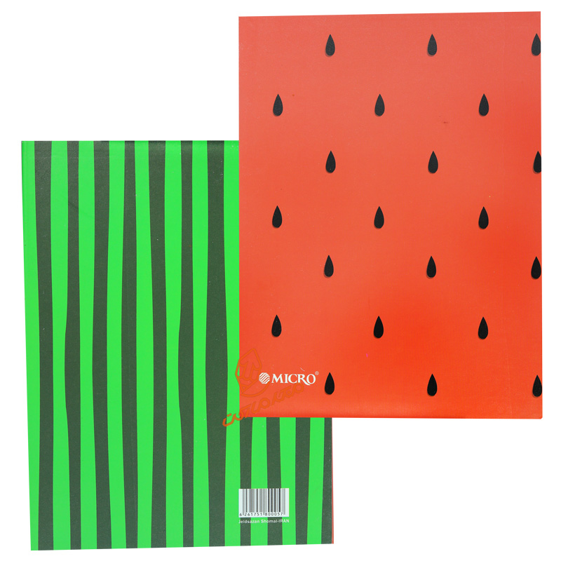 دفتر کلاسوری 200 برگ طرح دار A3 میکرو MICRO (6).jpg