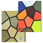 دفتر کلاسوری 200 برگ طرح دار A3 میکرو MICRO (4).jpg