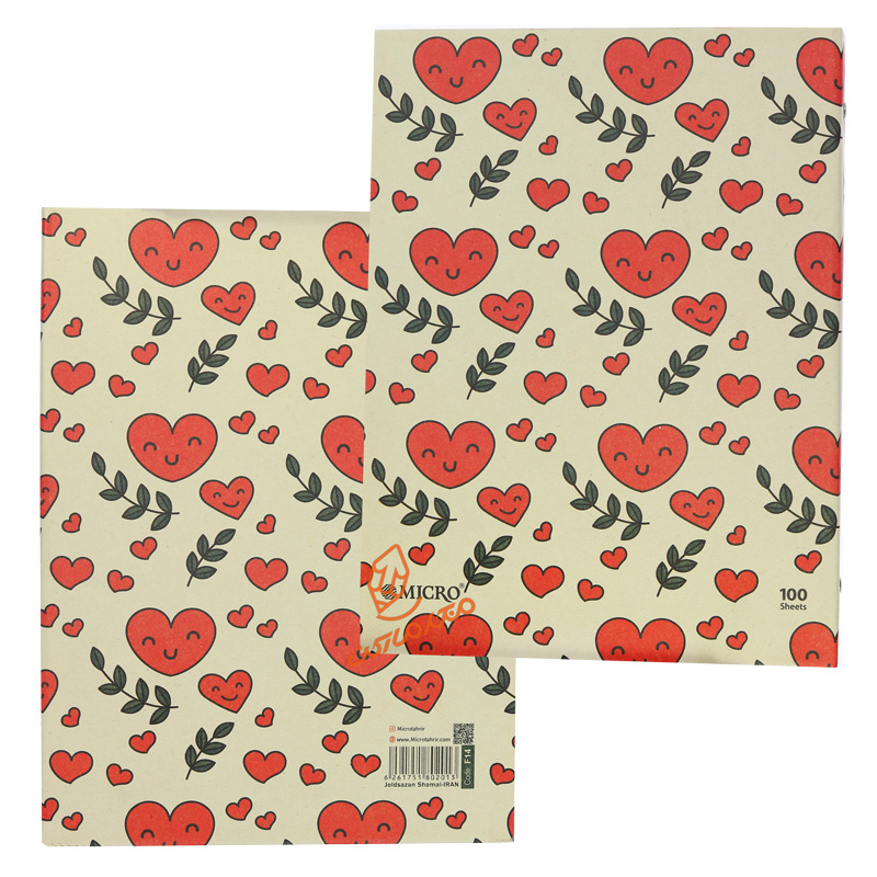 دفتر کلاسوری 100 برگ طرح کرافت F14 میکرو MICRO.jpg