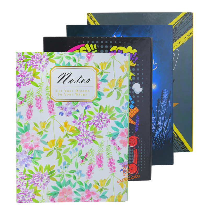 دفتر کلاسوری 160 برگ طرح دار  PN-6187 پاپکو  PAPCO