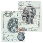 کلاسور 26 حلقه طرح Science دات نوت DOT NOTE (6).jpg