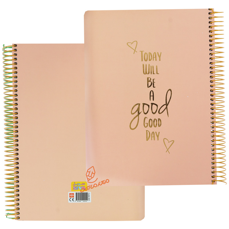 دفتر 100 برگ جلد سخت رنگی طرح طلاکوب کد 847 سویل SEVIL (8).jpg