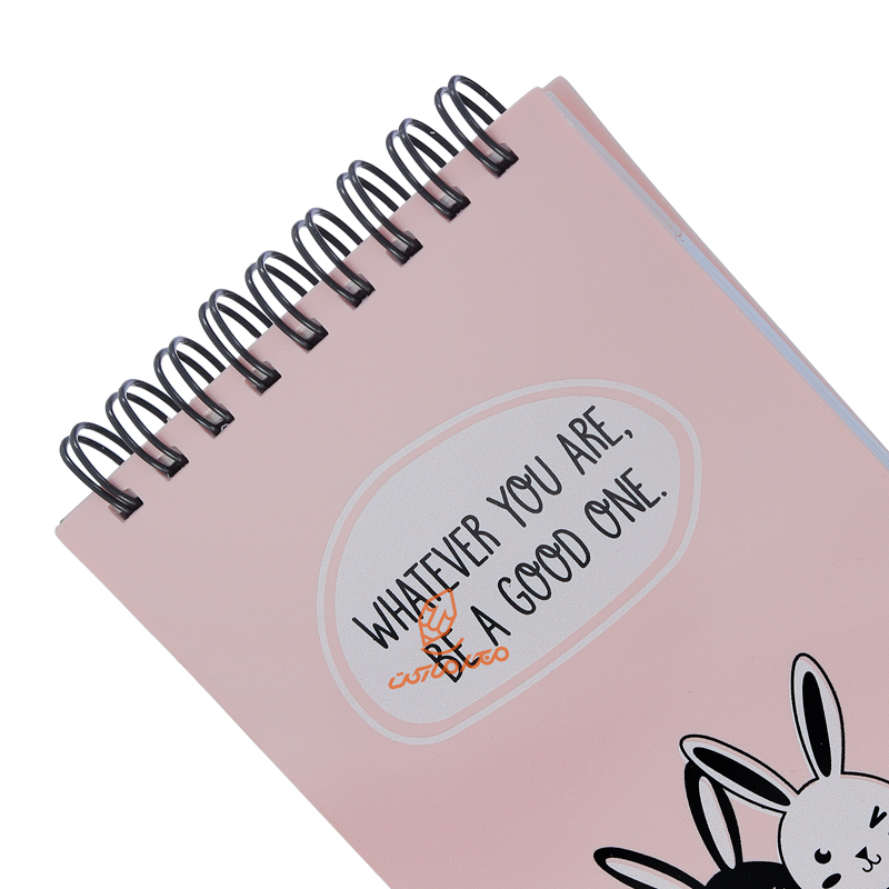 دفترچه یادداشت کوچک پاستلی  B7-1028 پاپکو PAPCO (4).jpg