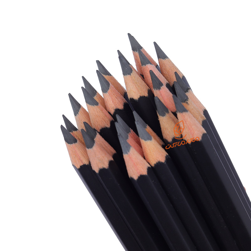 مداد طراحی گرافیتی PITT MATT فابر کاستل FABERCASTELL (2).jpg