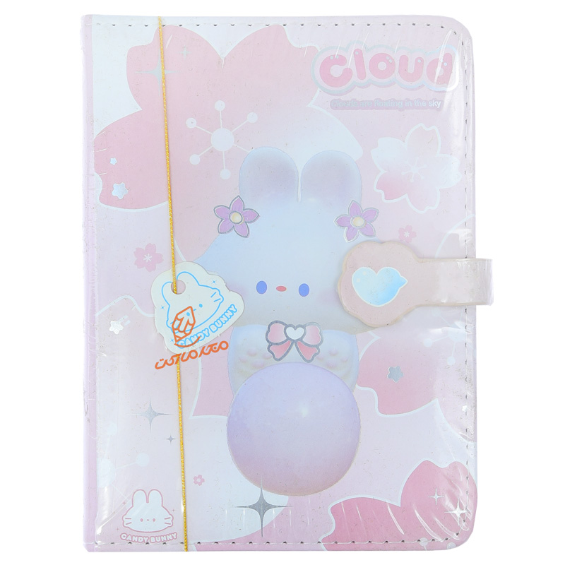 دفترچه طرح برجسته فانتزی طرح ZH-66-60 CANDY BUNNY (5).jpg