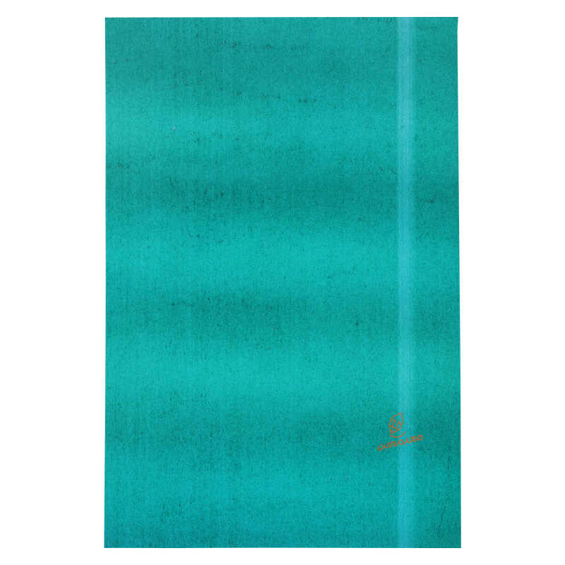  171 Gestetner (7).jpg