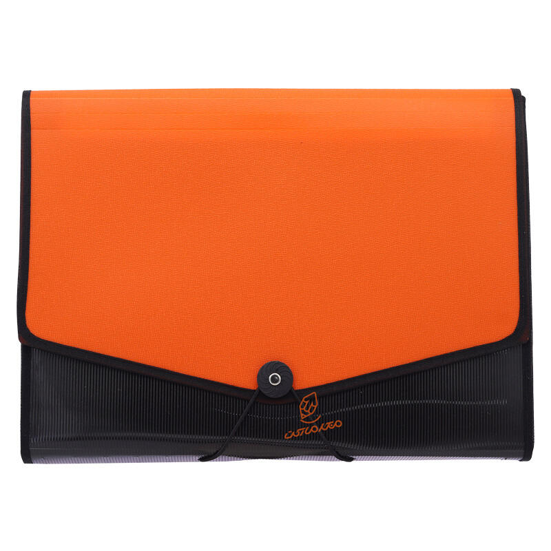 کیف فایلی کش دار پرگه (4).jpg