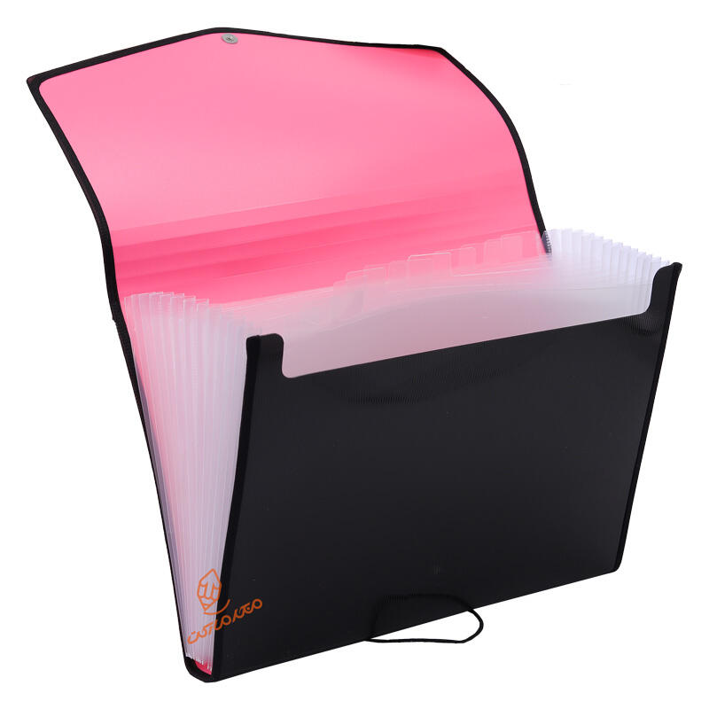 کیف فایلی کش دار پرگه (9).jpg