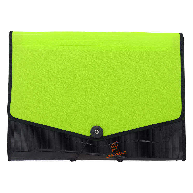 کیف فایلی کش دار پرگه (5).jpg