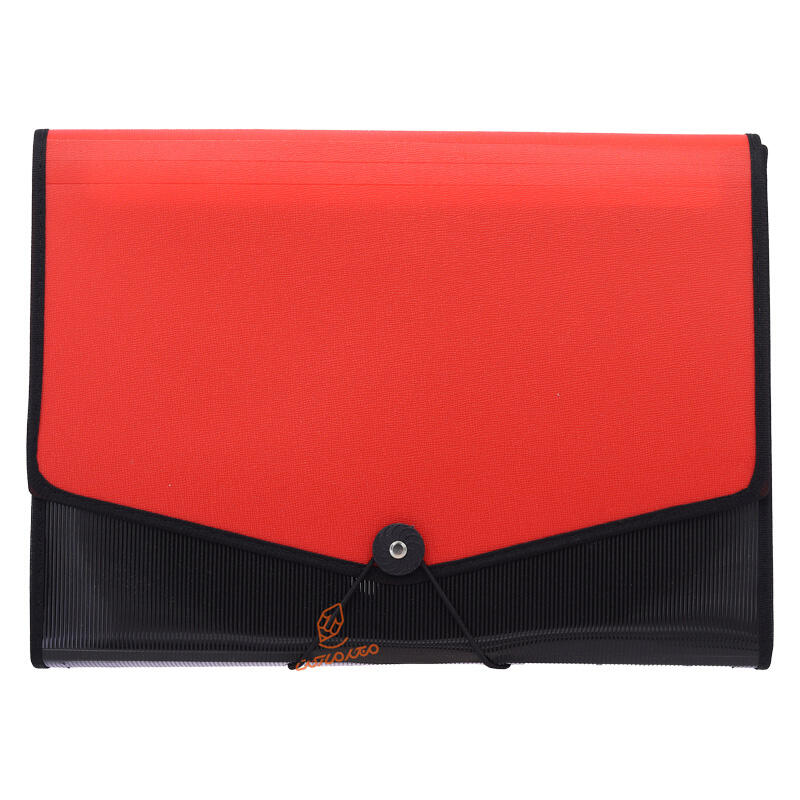 کیف فایلی کش دار پرگه (2).jpg