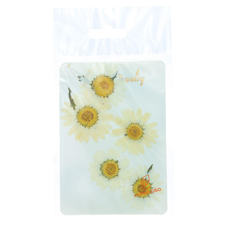 گل خشک (مخصوص رزین ) سلنا (5).jpg