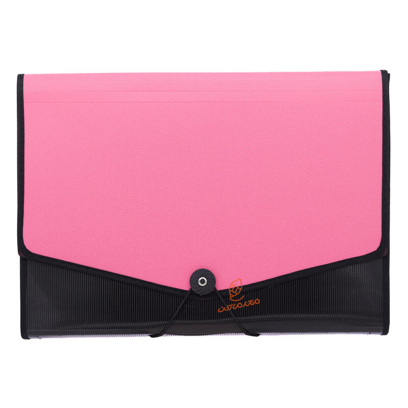 کیف فایلی کش دار پرگه (7).jpg