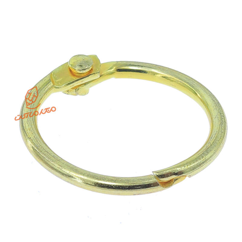 حلقه کلاسوری 6 عددی سلنا (4).jpg