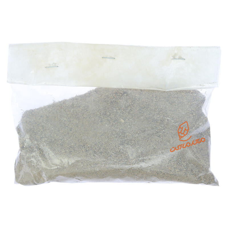  شن ساحل سلنا (1).jpg