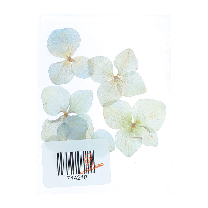 گل خشک (مخصوص رزین ) سلنا (3).jpg