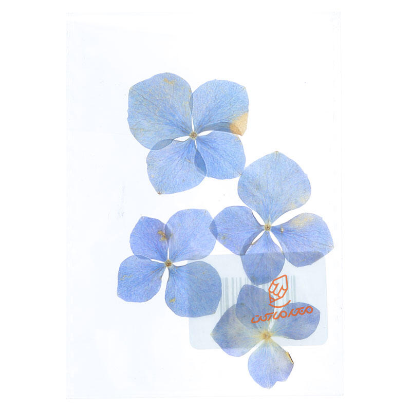 گل خشک (مخصوص رزین ) سلنا (4).jpg