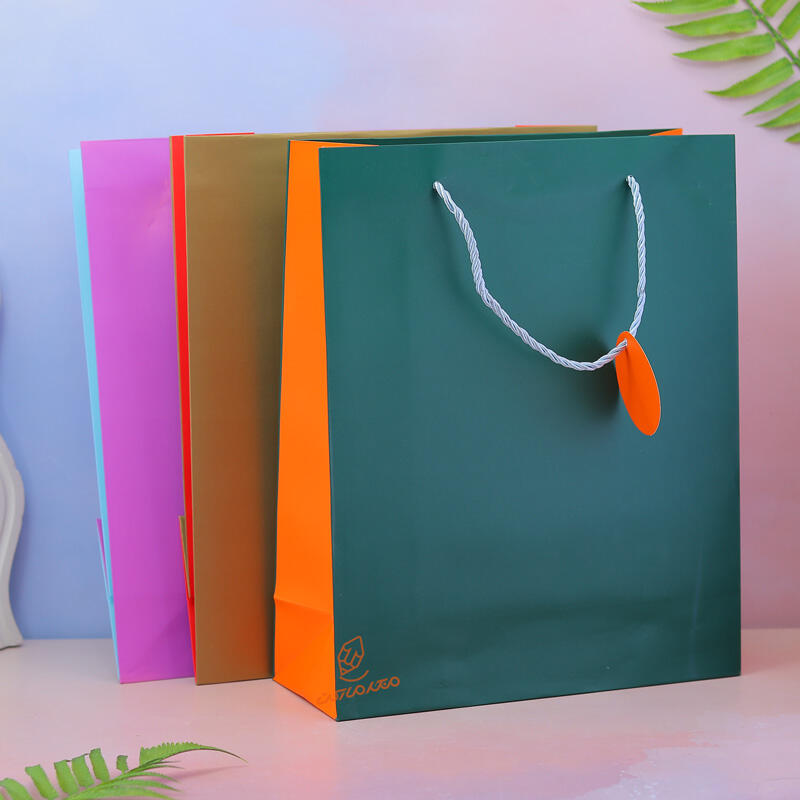 بگ کادویی دو رنگ 9324