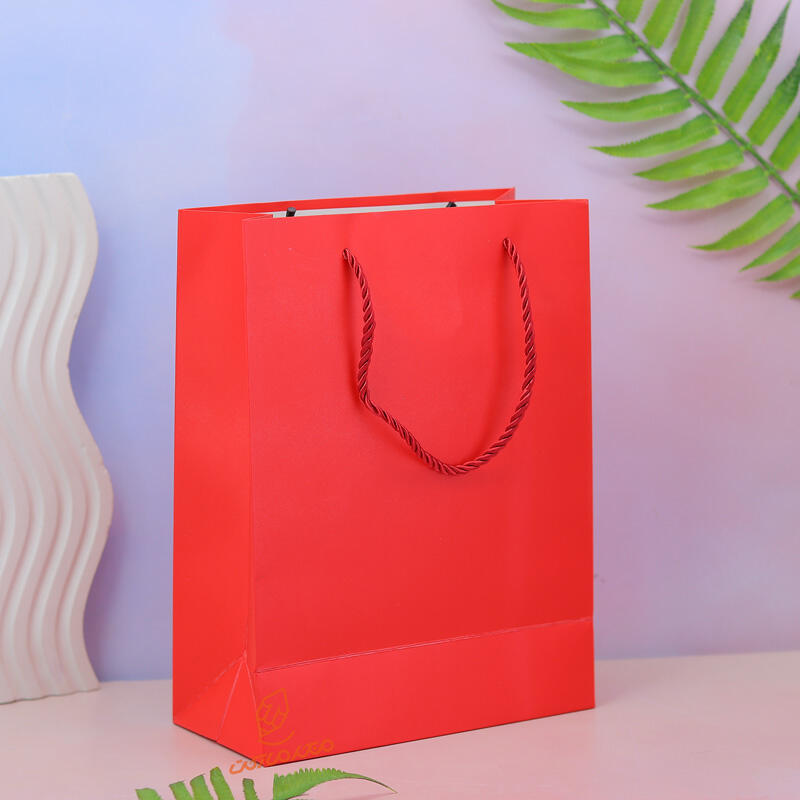 بگ کادویی رنگی ساده 1911-5 (3).jpg