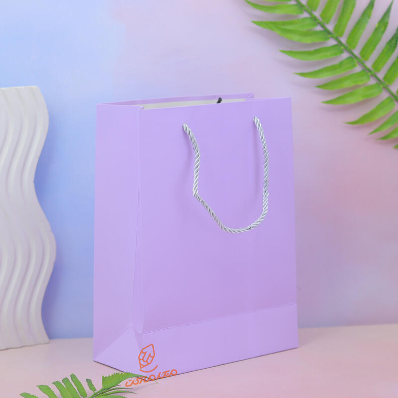 بگ کادویی رنگی ساده 1911-5 (4).jpg